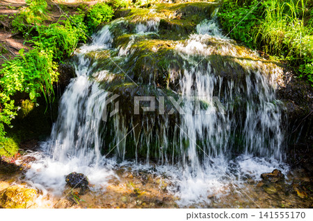 Refreshing crystal clear water cascades down mossy rocks in a vibrant forest stream, creating a lively little waterfall surrounded by lush green foliage and sunlit wild nature 141555170