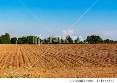 Freshly plowed brown soil with rhythmic furrows extends towards a lush green tree line under a crisp, bright blue summer sky in the peaceful countryside Freshly plowed brown soil with rhythmic furrows extends towards a lush green tree line under a crisp, bright blue summer sky in the peaceful countryside 141555178