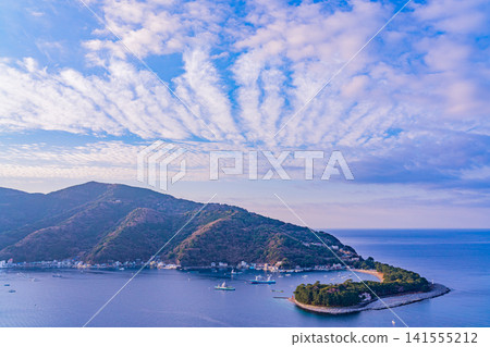 [Shizuoka Prefecture] Early spring in Toda and Mihama Cape, West Izu 141555212