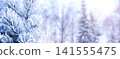 Horizontal Christmas background with pine branch, covered with frost. Holiday winter banner with frozen branches of fir tree. Festive banner featuring a frosted fir branch at abstract glitter lights 141555475