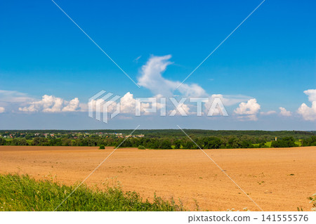 Vast plowed agricultural field under a bright blue summer sky with fluffy white clouds, showcasing tranquil countryside landscape and fertile soil prepared for new crops in sunny weather Vast plowed agricultural field under a bright blue summer sky with fluffy white clouds, showcasing tranquil countryside landscape and fertile soil prepared for new crops in sunny weather 141555576