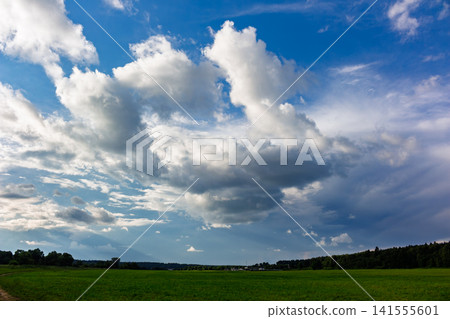 Fluffy white clouds drifting across a vibrant blue sky over a serene green meadow landscape during a bright summer day creating a peaceful natural atmosphere Fluffy white clouds drifting across a vibrant blue sky over a serene green meadow landscape during a bright summer day creating a peaceful natural atmosphere 141555601
