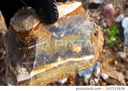 Gloved hand holding a raw piece of flint stone with textured layers against a blurred background of gravelly ground at a mineral quarry site for geological exploration purposes Gloved hand holding a raw piece of flint stone with textured layers against a blurred background of gravelly ground at a mineral quarry site for geological exploration purposes 141555636