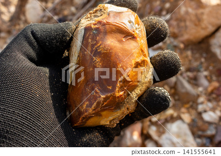 Gloved hand holding a raw piece of polished amber-colored flint stone, geological specimen discovered during outdoor exploration at a gravel pit, natural mineral texture and earthy tones 141555641