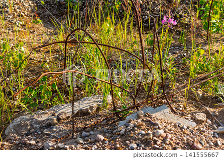 Rusty construction steel bars protruding from discarded weathered concrete slabs overgrown by wild green grass and small wildflowers in a neglected open field on a sunny day Rusty construction steel bars protruding from discarded weathered concrete slabs overgrown by wild green grass and small wildflowers in a neglected open field on a sunny day 141555667