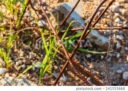 Rusty metal rebar protruding from old discarded concrete slabs on a gravel ground, abandoned construction materials outdoors with green grass and weeds growing through broken debris Rusty metal rebar protruding from old discarded concrete slabs on a gravel ground, abandoned construction materials outdoors with green grass and weeds growing through broken debris 141555668