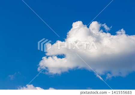 Fluffy white cloud resembling a flying dragon soaring across a vibrant clear blue sky, capturing a whimsical pareidolia effect in bright daylight against a deep azure backdrop Fluffy white cloud resembling a flying dragon soaring across a vibrant clear blue sky, capturing a whimsical pareidolia effect in bright daylight against a deep azure backdrop 141555683