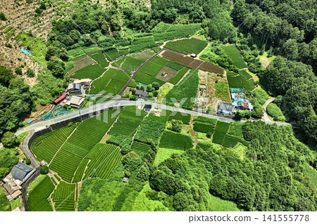 Aerial photograph capturing tea plantations and terraced fields in the mountainous area of Shizuoka City. Aerial photograph capturing tea plantations and terraced fields in the mountainous area of Shizuoka City. 141555778