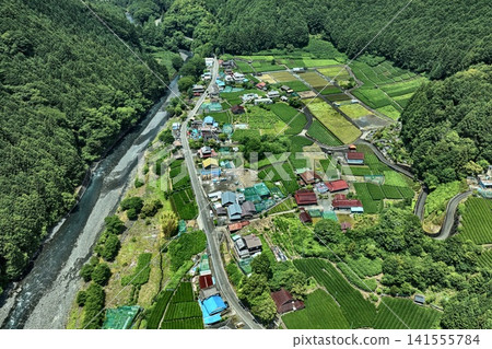 空拍照片展現了靜岡縣靜岡市的山村和茶園。 141555784