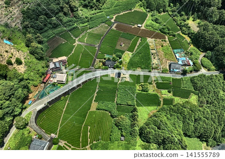 Aerial photographs capturing tea plantations and mountain villages in Shizuoka City. Aerial photographs capturing tea plantations and mountain villages in Shizuoka City. 141555789