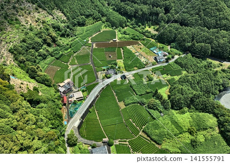 Aerial photograph capturing tea plantations and terraced fields in the mountainous area of Shizuoka City, Shizuoka Prefecture. Aerial photograph capturing tea plantations and terraced fields in the mountainous area of Shizuoka City, Shizuoka Prefecture. 141555791