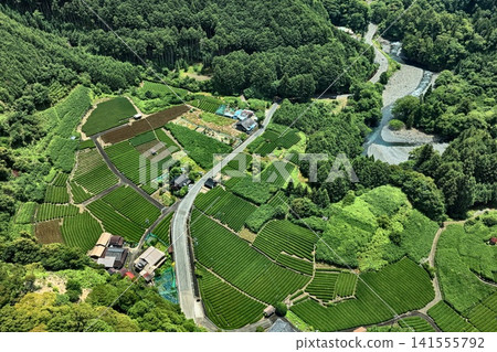 空拍照片展現了靜岡市山區茶園和居民點的景象。 141555792