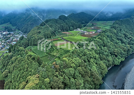 Early morning aerial photograph capturing tea plantations and terraced fields in Shimada City, Shizuoka Prefecture. 141555831