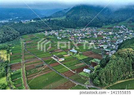 清晨的空拍照片捕捉了靜岡縣島田市的茶園和山村。 清晨的空拍照片捕捉了靜岡縣島田市的茶園和山村。 141555835