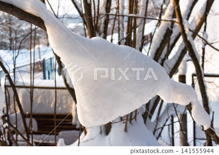 Thick, sculptural snow cap blankets a tree branch against a soft-focus winter backdrop illuminated by late afternoon sun flare Thick, sculptural snow cap blankets a tree branch against a soft-focus winter backdrop illuminated by late afternoon sun flare 141555944