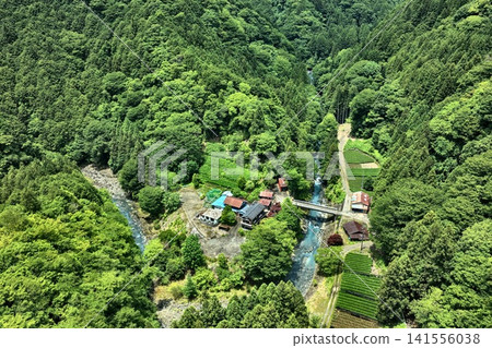 An aerial photograph capturing the mountain village and tea plantations of Kuchisakamoto, Shizuoka City, Shizuoka Prefecture. An aerial photograph capturing the mountain village and tea plantations of Kuchisakamoto, Shizuoka City, Shizuoka Prefecture. 141556038