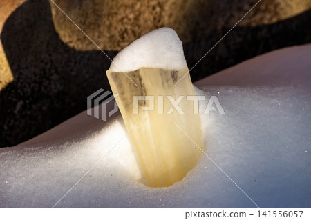 Massive, deadly amber icicle, a frozen spear, impaled sharply in pristine white snow. A potent symbol of winter's hidden dangers and fragile beauty. Icicles falling on heads 141556057
