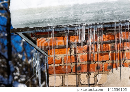 Sparkling sharp icicles hanging from a snowy ledge against the vibrant orange brick wall texture during a sunny winter thaw Sparkling sharp icicles hanging from a snowy ledge against the vibrant orange brick wall texture during a sunny winter thaw 141556105