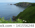 基里塔普角的海岸線：巍峨的懸崖和洶湧的波濤，景色令人嘆為觀止。 141556248