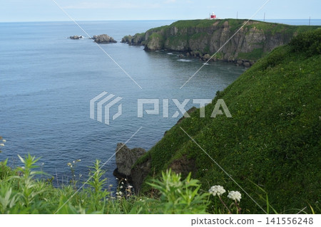 The coastline of Kiritappu Cape: a breathtaking view of towering cliffs and waves. The coastline of Kiritappu Cape: a breathtaking view of towering cliffs and waves. 141556248