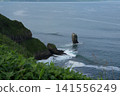 北海道桐多普岬的自然風光：波濤洶湧的大海和海岬鬱鬱蔥蔥的植被。 141556249