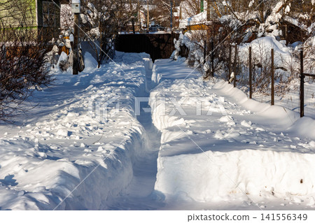 A pristine, deep snow path cuts through a sun-kissed rural landscape, flanked by towering drifts. A crisp, clear winter day scene A pristine, deep snow path cuts through a sun-kissed rural landscape, flanked by towering drifts. A crisp, clear winter day scene 141556349
