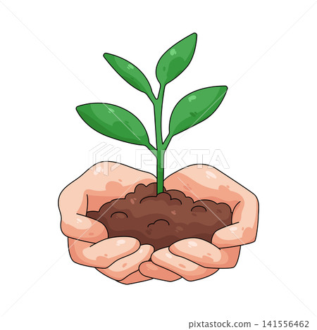 Illustration of hands holding tree planting Illustration of hands holding tree planting 141556462