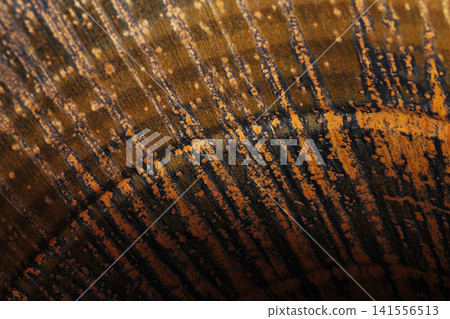 Macro photograph of a rusty empty barrel showing concentric corrosion Macro photograph of a rusty empty barrel showing concentric corrosion 141556513