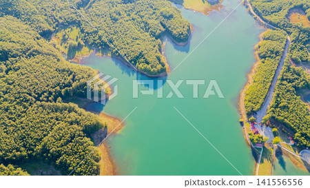 Aerial view of winding emerald shoreline covered with dense pine forest along Lake Plastiras in Thessaly Greece for natural landscape travel footage background Aerial view of winding emerald shoreline covered with dense pine forest along Lake Plastiras in Thessaly Greece for natural landscape travel footage background 141556556
