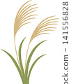 Vector illustration of pampas grass swaying in the wind Vector illustration of pampas grass swaying in the wind 141556828