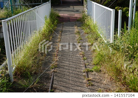 自來水廠路，電車軌道 141557104