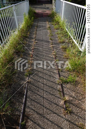 自來水廠路,電車軌道 自來水廠路,電車軌道 141557105