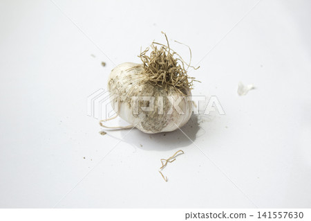 Garlic on a white background. Garlic on a white background. 141557630