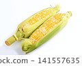 Corn (Ama-musume variety) 141557635
