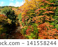 The vibrant autumn scenery of the Shikoma River Maple Road, with its deepening autumn foliage, against the backdrop of a clear autumn sky. Ver1 141558244