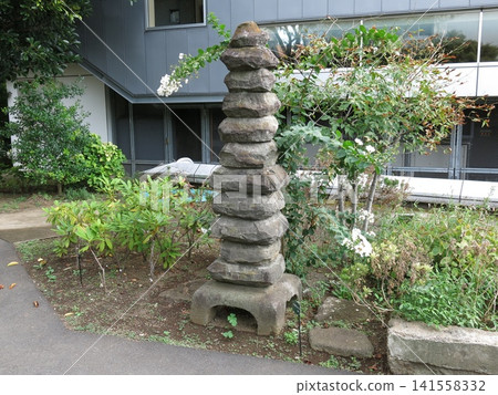 A cat mound (cat grave) associated with the Natsume family remains in Soseki Park (Soseki Sanbo Memorial Museum) in Shinjuku Ward. A cat mound (cat grave) associated with the Natsume family remains in Soseki Park (Soseki Sanbo Memorial Museum) in Shinjuku Ward. 141558332