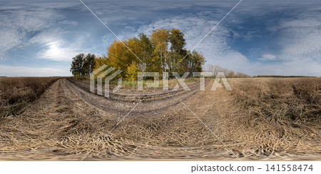 paved road leading towards serene rural landscape with grove of trees and fields under sky at eye level perspective from the road in brown and green natural scenery. HDRI 360 panorama paved road leading towards serene rural landscape with grove of trees and fields under sky at eye level perspective from the road in brown and green natural scenery. HDRI 360 panorama 141558474
