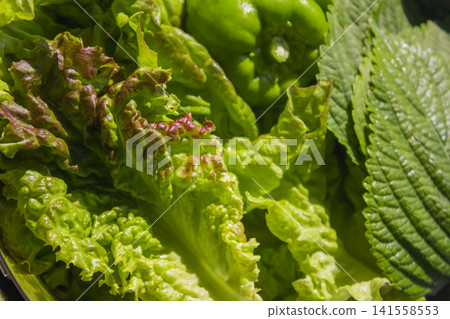 It is a close-up of fresh vegetables. It is a close-up of fresh vegetables. 141558553