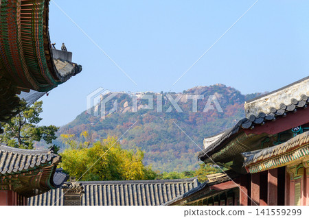 首爾景福宮的美景 首爾景福宮的美景 141559299