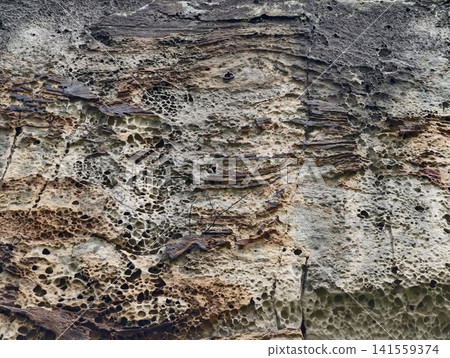 Weathered sandstone cliff face with honeycomb erosion texture Weathered sandstone cliff face with honeycomb erosion texture 141559374