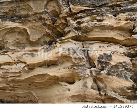 Weathered sandstone cliff with honeycomb erosion patterns Weathered sandstone cliff with honeycomb erosion patterns 141559375