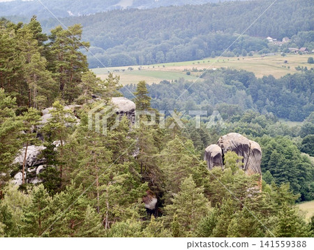 Pine forest and granite rock formations overlooking rural valley Pine forest and granite rock formations overlooking rural valley 141559388