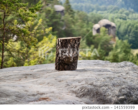 Tree stump on rocky outcrop with forest valley view Tree stump on rocky outcrop with forest valley view 141559399