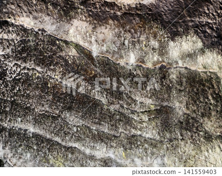 Weathered rock wall with layered mineral streaks and moss Weathered rock wall with layered mineral streaks and moss 141559403