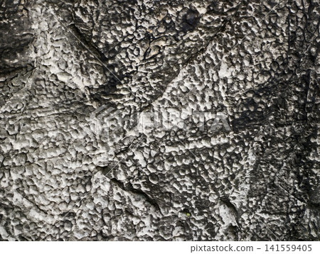 Closeup textured stone surface with weathered pitted pattern Closeup textured stone surface with weathered pitted pattern 141559405