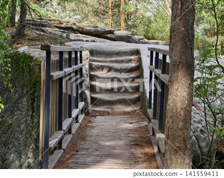 Wooden footbridge leading to carved stone steps in pine forest Wooden footbridge leading to carved stone steps in pine forest 141559411
