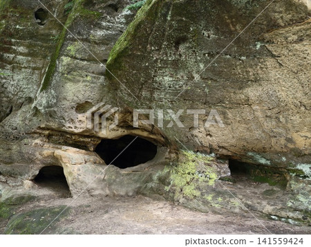Mossy sandstone rock face with small cave openings Mossy sandstone rock face with small cave openings 141559424