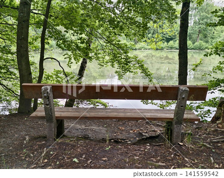 Wooden bench under leafy trees by calm forest pond 141559542