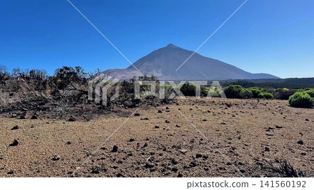 Discover the breathtaking and stunning view of the Teide Volcano located in Tenerife, Canary Islands Discover the breathtaking and stunning view of the Teide Volcano located in Tenerife, Canary Islands 141560192