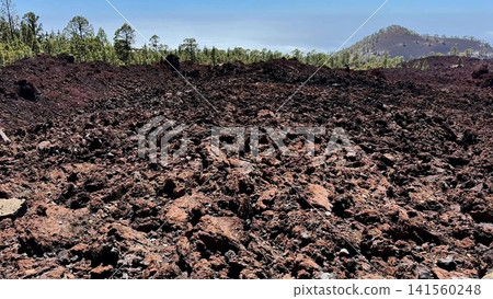 Lava Field with a Beautiful and Scenic View of the Majestic Mountain Landscape Nearby Lava Field with a Beautiful and Scenic View of the Majestic Mountain Landscape Nearby 141560248